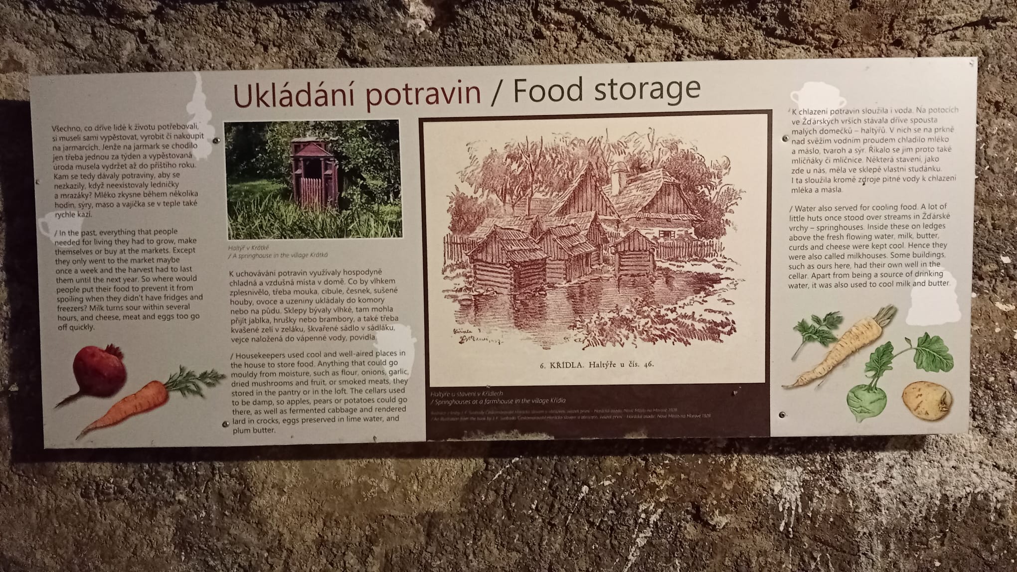 Krátká 2