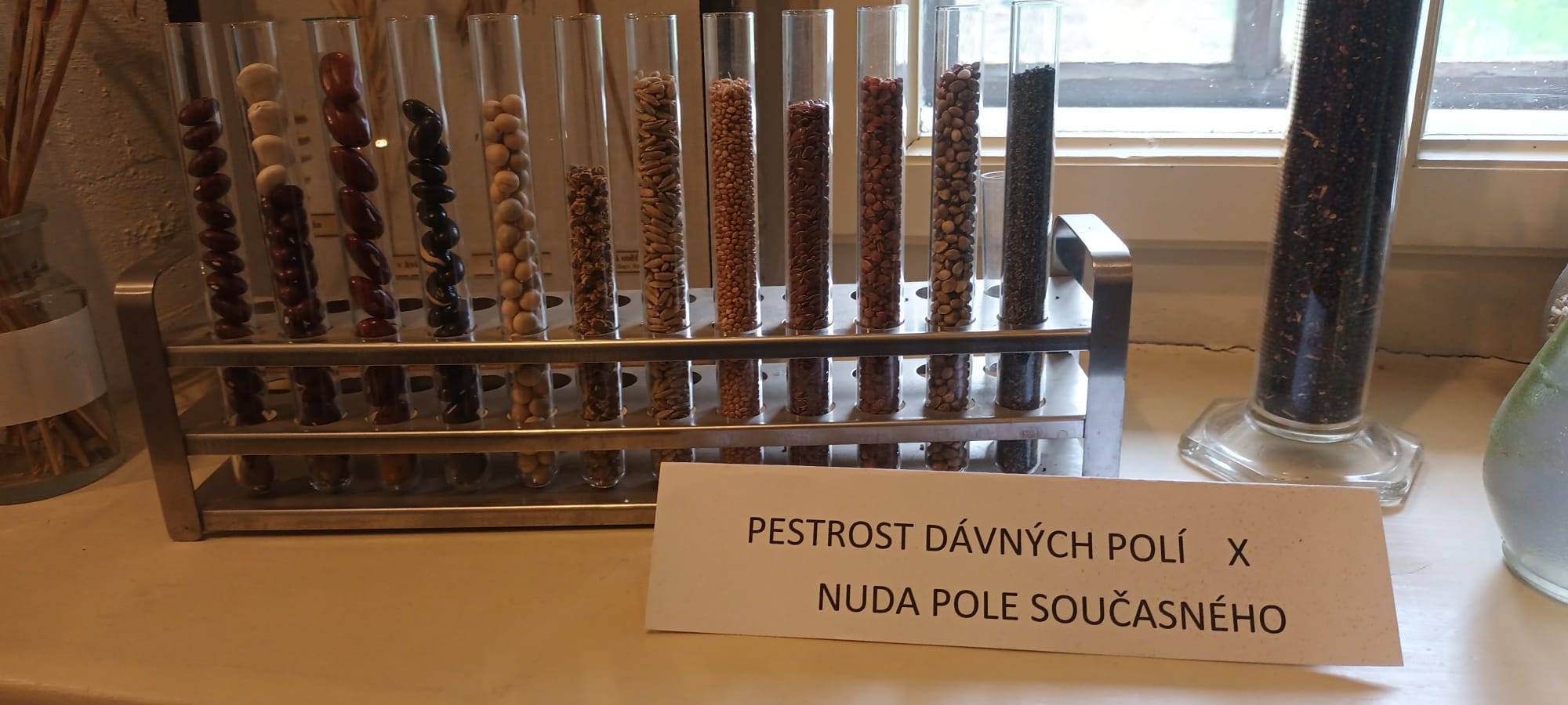 Krátká 17