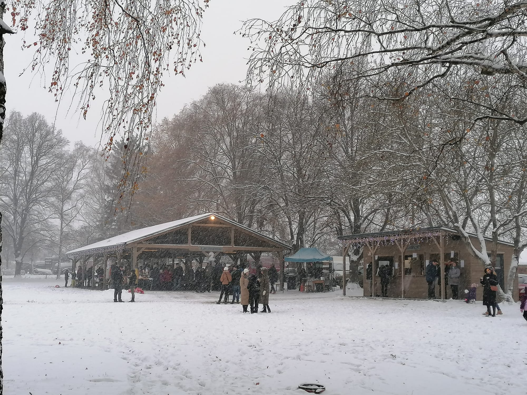 Drásov 13