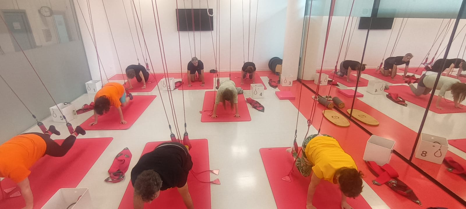redcord 4