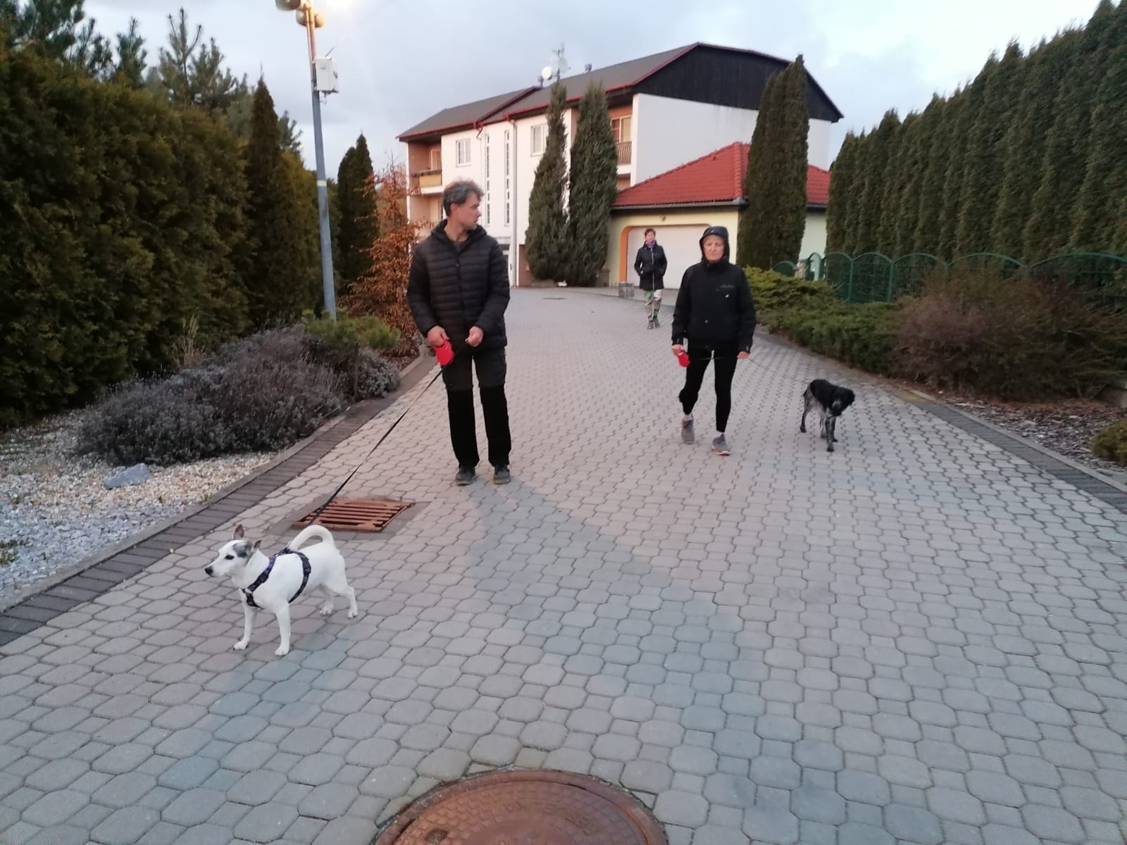 venčení po večeží 1